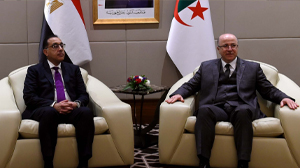 "مدبولي" و "بن عبد الرحمان" يترأسان أعمال المنتدى الاقتصادي المصري ـ الجزائري المشترك